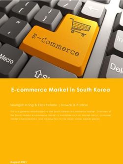 E Commerce Market In South Korea Seungah Hong Elias Peterle Nowak