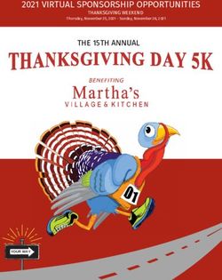 2021 VIRTUAL SPONSORSHIP OPPORTUNITIES - THE 15TH ANNUAL THANKSGIVING WEEKEND - Martha's ...