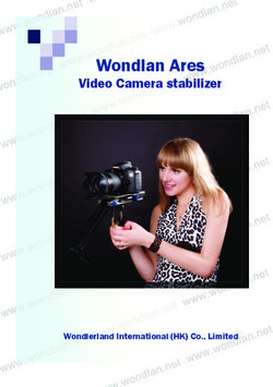 Wondlan Ares Video Camera stabilizer - Wondlerland International (HK) Co., Limited