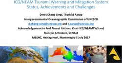 ICG/NEAM Tsunami Warning and Mitigation System Status, Achievements and Challenges