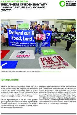 A Leap in the Dark: The Dangers of Bioenergy with Carbon Capture and Storage - (BECCS) - Friends of the Earth International