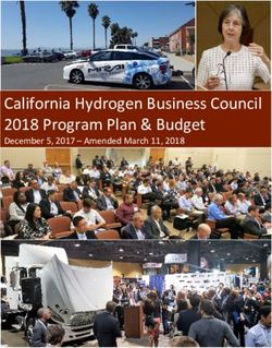 California Hydrogen Business Council 2018 Program Plan & Budget - December 5, 2017 - Amended March 11, 2018