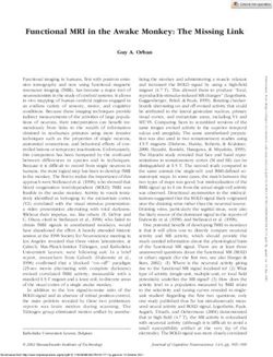 Functional MRI in the Awake Monkey: The Missing Link