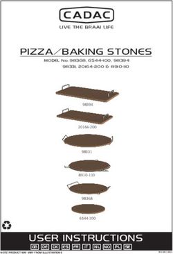 PIZZA BAKING STONES USER INSTRUCTIONS Cadac