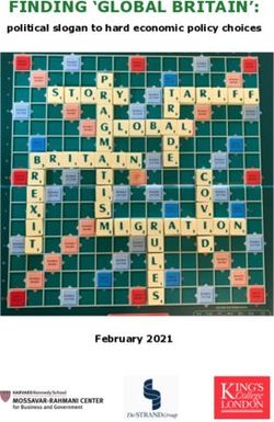 FINDING 'GLOBAL BRITAIN': political slogan to hard economic policy choices - February 2021