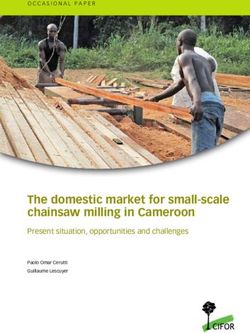 The domestic market for small-scale chainsaw milling in Cameroon - Present situation, opportunities and challenges