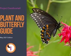 PLANT AND BUTTERFLY GUIDE - Project Swallowtail - May 2021 Edition - Pollinator Partnership ...