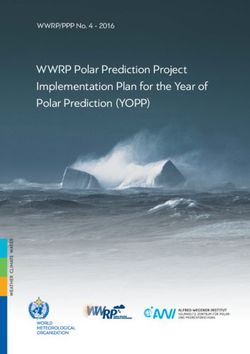 WWRP Polar Prediction Project Implementation Plan for the Year of Polar Prediction (YOPP) - WWRP/PPP No. 4 2016