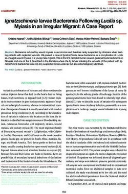 Ignatzschineria larvae Bacteremia Following Lucilia sp.