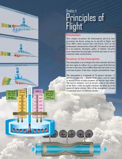 Principles of Flight Introduction - FAA