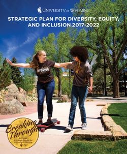 STRATEGIC PLAN FOR DIVERSITY EQUITY AND INCLUSION 2017 2022