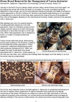 Drone Brood Removal For The Management Of Varroa Destructor