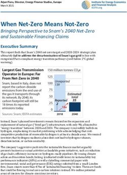 When Net-Zero Means Not-Zero - Bringing Perspective to Snam's 2040 Net-Zero and Sustainable Financing Claims - Institute for Energy ...