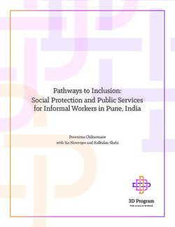 Pathways to Inclusion: Social Protection and Public Services for Informal Workers in Pune, India - Poornima Chikarmane with Sia Nowrojee and ...