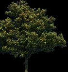 2022 State of Metropolitan Housing Report - TOWARDS A JUST HOUSING FUTURE IN UNCERTAIN TIMES