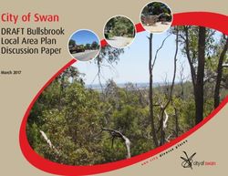 City of Swan DRAFT Bullsbrook Local Area Plan Discussion Paper - March 2017