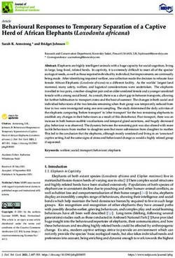 Behavioural Responses to Temporary Separation of a Captive Herd of African Elephants (Loxodonta africana)