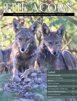 THE ACORN American River Natural History Association Members' Magazine - Spring 2021 - Capitol Tech Solutions