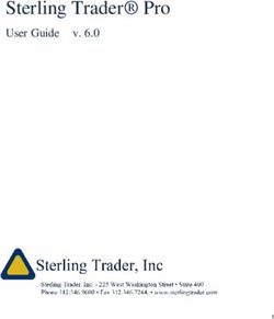 Sterling Trader Pro User Guide v. 6.0