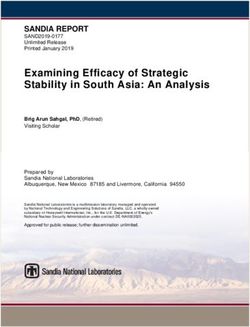Examining Efficacy of Strategic Stability in South Asia: An Analysis - Delhi ...