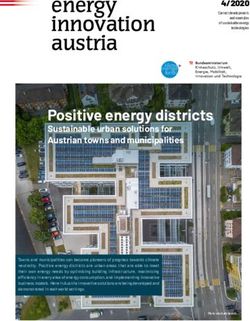 Positive energy districts - Sustainable urban solutions for Austrian towns and municipalities - Nachhaltig ...
