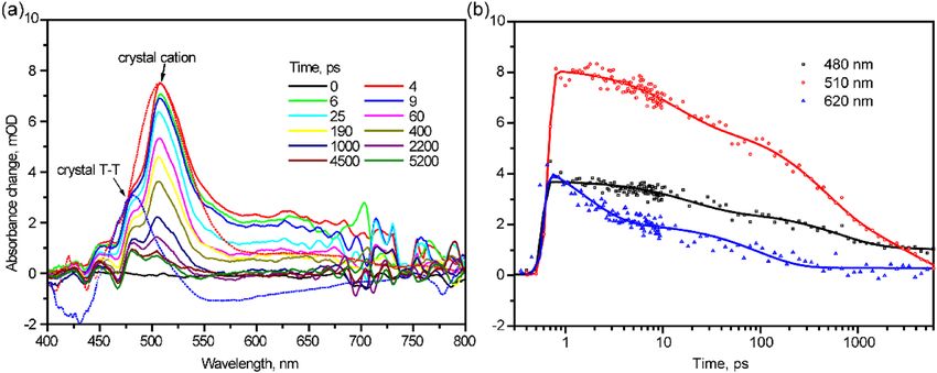 Ultrafast Spectroscopy Reveals Singlet Fission Ionization And Excimer