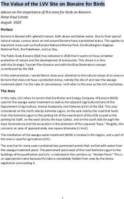 The Value of the LVV Site on Bonaire for Birds - Dutch ...