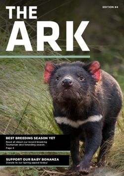 BEST BREEDING SEASON YET - Read all about our record breaking Tasmanian devil breeding season - Aussie Ark