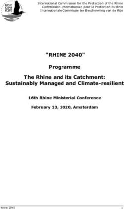 "RHINE 2040" Programme The Rhine and its Catchment: Sustainably Managed and Climate-resilient - IKSR