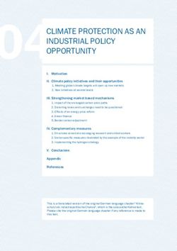 04CLIMATE PROTECTION AS AN - INDUSTRIAL POLICY OPPORTUNITY