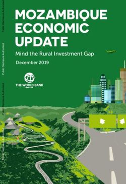 MOZAMBIQUE ECONOMIC UPDATE - Mind the Rural Investment Gap December 2019