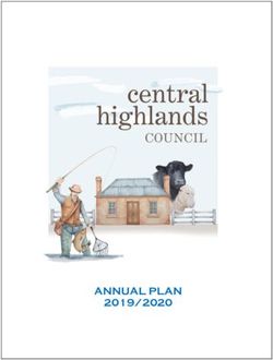 ANNUAL PLAN 2019/2020 - Central Highlands Council
