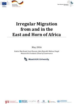 Irregular Migration from and in the East and Horn of Africa - May 2016 Katrin Marchand, Inez Roosen, Julia Reinold, Melissa Siegel - unu-merit