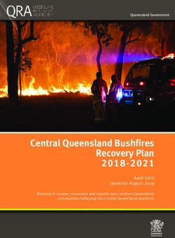 Central Queensland Bushfires Recovery Plan 2018-2021 - April 2019 Updated August 2019