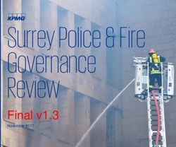 Surrey Police & Fire Governance Review - Final v1.3 November 2017 - Surrey Police and Crime ...