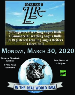 92 Registered Yearling Angus Bulls 4 Commercial Yearling Angus Bulls 14 Registered Yearling Angus Heifers 1 Herd Bull - Western Livestock