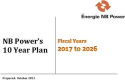 NB Power's 10 Year Plan - Prepared: October 2015 - Énergie NB Power