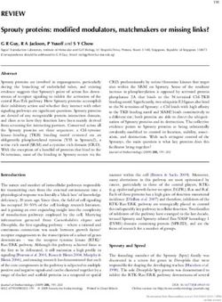 REVIEW Sprouty proteins: modified modulators, matchmakers or missing links? - Journal of Endocrinology