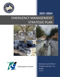 EMERGENCY MANAGEMENT STRATEGIC PLAN 2021-2024 - Stanislaus County Office of Emergency Services / Fire