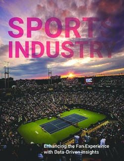 Enhancing the Fan Experience with Data-Driven Insights - Affinio