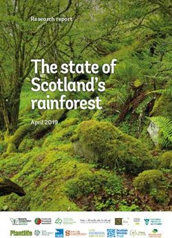 The state of Scotland's rainforest - April 2019 - The Woodland Trust