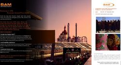 Russian Grand Prix 2020 - BAM F1