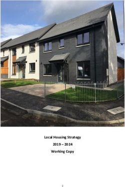 Local Housing Strategy 2019 - 2024 Working Copy - Dundee ...