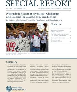 SPECIAL REPORT - United States Institute of Peace