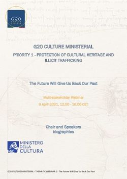 G20 CULTURE MINISTERIAL - PRIORITY 1 - PROTECTION OF CULTURAL HERITAGE AND ILLICIT TRAFFICKING - Ministero della cultura