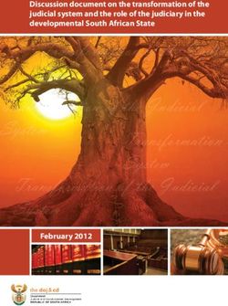 Discussion document on the transformation of the judicial system and the role of the judiciary in the developmental South African State