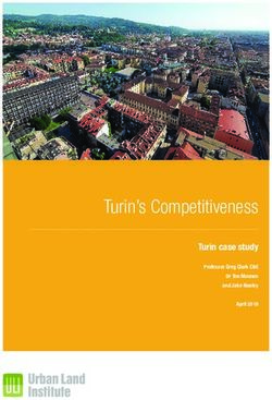 Turin's Competitiveness - Turin case study Professor Greg Clark CBE Dr Tim Moonen and Jake Nunley
