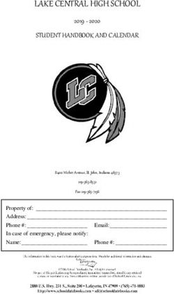 LAKE CENTRAL HIGH SCHOOL 2019 2020