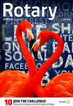 JOIN THE CHALLENGE! Rotarians challenged to be #Flamingos of change - AFRICA | rotaryafrica.com - Rotary Africa