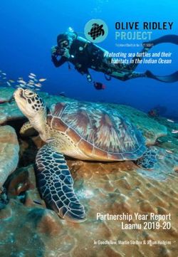 Partnership Year Report Laamu 2019-20 - Protecting sea turtles and their habitats in the Indian Ocean - Six Senses